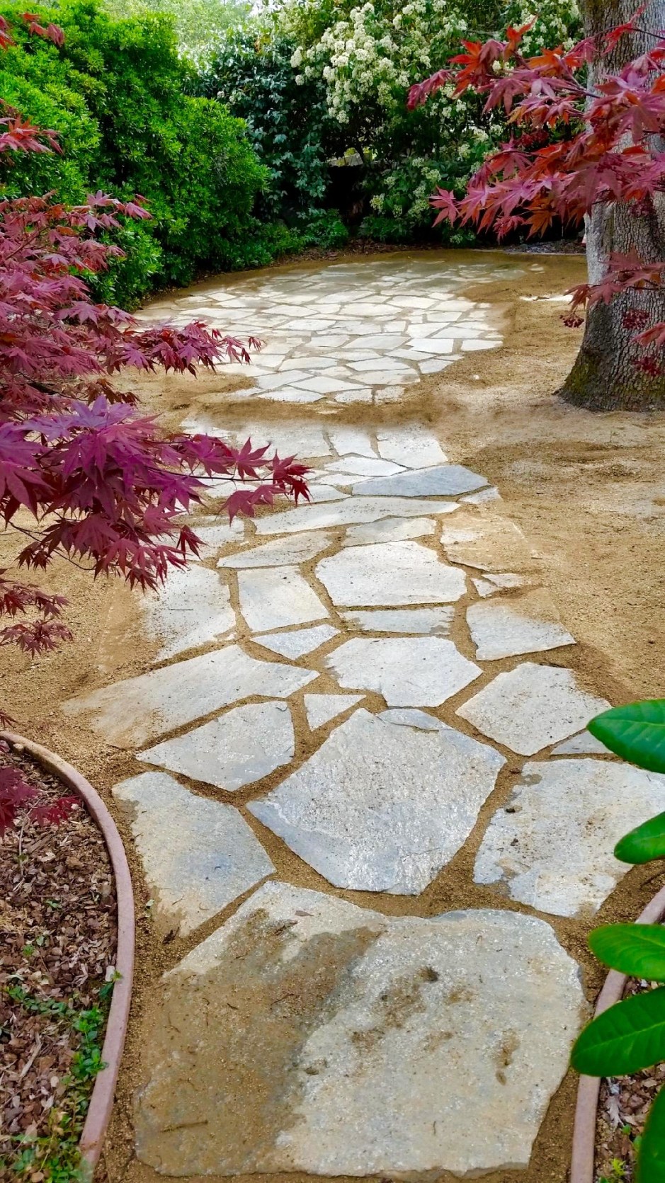 20150320_135044_1489249348056